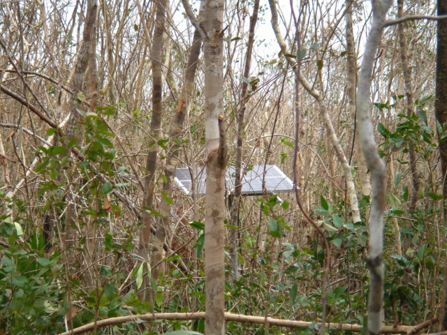 dsc00558.jpg